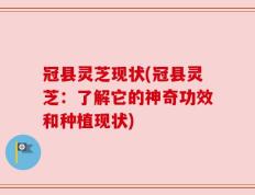 冠县灵芝现状(冠县灵芝：了解它的神奇功效和种植现状)