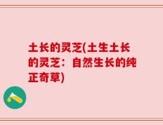 土长的灵芝(土生土长的灵芝：自然生长的纯正奇草)
