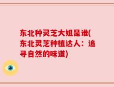 东北种灵芝大姐是谁(东北灵芝种植达人：追寻自然的味道)