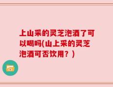 上山采的灵芝泡酒了可以喝吗(山上采的灵芝泡酒可否饮用？)
