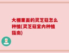 大棚里面的灵芝菇怎么种植(灵芝菇室内种植指南)
