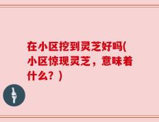 在小区挖到灵芝好吗(小区惊现灵芝，意味着什么？)