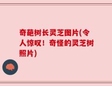 奇葩树长灵芝图片(令人惊叹！奇怪的灵芝树照片)