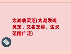 太湖收灵芝(太湖发现灵芝，又名芝草，生长范围广泛)