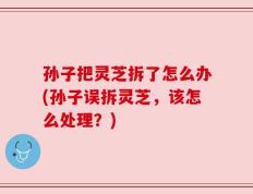 孙子把灵芝拆了怎么办(孙子误拆灵芝，该怎么处理？)