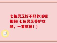 七色灵芝好不好养活呢视频(七色灵芝养护攻略，一看就懂！)