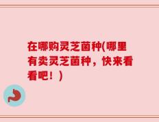 在哪购灵芝菌种(哪里有卖灵芝菌种，快来看看吧！)