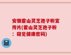安徽霍山灵芝孢子粉宣传片(霍山灵芝孢子粉：窥见健康密码)