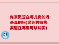 你家灵芝在哪儿卖的呀是真的吗(灵芝的销售渠道在哪里可以购买)