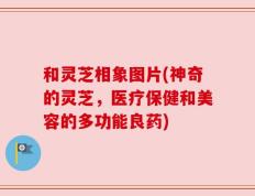 和灵芝相象图片(神奇的灵芝，医疗保健和美容的多功能良药)