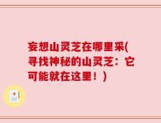 妄想山灵芝在哪里采(寻找神秘的山灵芝：它可能就在这里！)