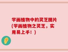 学画植物中的灵芝图片(学画植物之灵芝，实用易上手！)