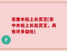 家里木桩上长灵芝(家中木桩上长出灵芝，具有许多益处)