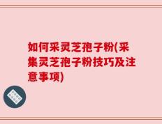 如何采灵芝孢子粉(采集灵芝孢子粉技巧及注意事项)