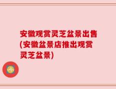 安徽观赏灵芝盆景出售(安徽盆景店推出观赏灵芝盆景)