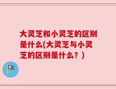 大灵芝和小灵芝的区别是什么(大灵芝与小灵芝的区别是什么？)