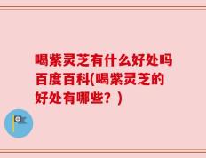 喝紫灵芝有什么好处吗百度百科(喝紫灵芝的好处有哪些？)