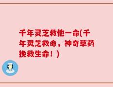 千年灵芝救他一命(千年灵芝救命，神奇草药挽救生命！)