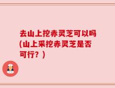 去山上挖赤灵芝可以吗(山上采挖赤灵芝是否可行？)