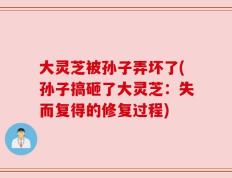 大灵芝被孙子弄坏了(孙子搞砸了大灵芝：失而复得的修复过程)