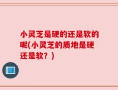 小灵芝是硬的还是软的呢(小灵芝的质地是硬还是软？)