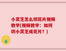 小灵芝怎么切花片视频教学(视频教学：如何切小灵芝成花片？)