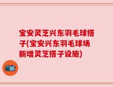宝安灵芝兴东羽毛球搭子(宝安兴东羽毛球场新增灵芝搭子设施)