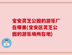宝安灵芝公园的游乐厂在哪里(宝安区灵芝公园的游乐场所在地)