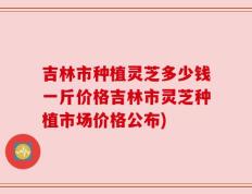 吉林市种植灵芝多少钱一斤价格吉林市灵芝种植市场价格公布)