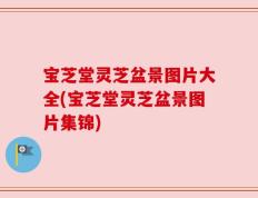 宝芝堂灵芝盆景图片大全(宝芝堂灵芝盆景图片集锦)