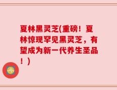夏林黑灵芝(重磅！夏林惊现罕见黑灵芝，有望成为新一代养生圣品！)