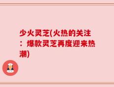 少火灵芝(火热的关注：爆款灵芝再度迎来热潮)
