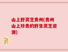 山上野灵芝贵州(贵州山上珍贵的野生灵芝资源)