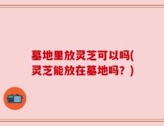 墓地里放灵芝可以吗(灵芝能放在墓地吗？)