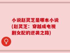 小说赵灵芝是哪本小说(赵灵芝：穿越成电视剧女配的逆袭之路)