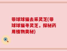 带球球猫去采灵芝(带球球猫寻灵芝，探秘药用植物奥秘)