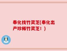 奉化找竹灵芝(奉化出产珍稀竹灵芝！)