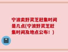 宁波卖野灵芝赶集时间是几点(宁波野灵芝赶集时间及地点公布！)
