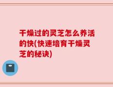 干燥过的灵芝怎么养活的快(快速培育干燥灵芝的秘诀)