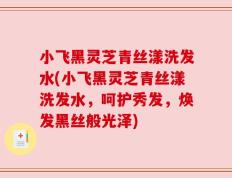 小飞黑灵芝青丝漾洗发水(小飞黑灵芝青丝漾洗发水，呵护秀发，焕发黑丝般光泽)