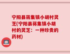 宁阳县蒋集镇小胡村灵芝(宁阳县蒋集镇小胡村的灵芝：一种珍贵的药材)