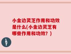 小金边灵芝作用和功效是什么(小金边灵芝有哪些作用和功效？)