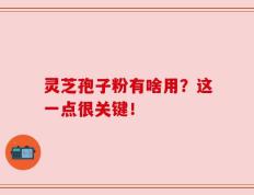 灵芝孢子粉有啥用？这一点很关键！