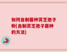 如何自制菌种灵芝孢子粉(自制灵芝孢子菌种的方法)