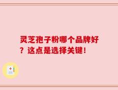 灵芝孢子粉哪个品牌好？这点是选择关键！