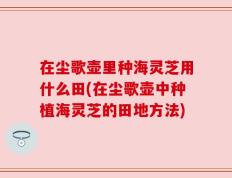 在尘歌壶里种海灵芝用什么田(在尘歌壶中种植海灵芝的田地方法)