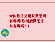 大树砍了之后长灵芝吗有毒吗(砍树后灵芝生长有毒吗？)