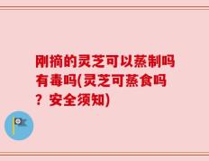 刚摘的灵芝可以蒸制吗有毒吗(灵芝可蒸食吗？安全须知)
