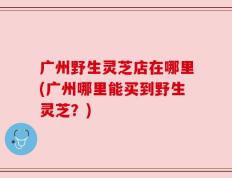 广州野生灵芝店在哪里(广州哪里能买到野生灵芝？)