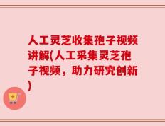 人工灵芝收集孢子视频讲解(人工采集灵芝孢子视频，助力研究创新)